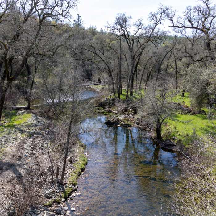 Raccoon Creek from the South Legacy Way Bridge. Near Grey Squirrel Trail