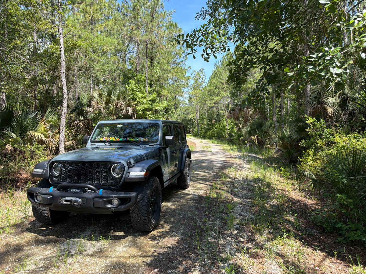 Marsh Road photo 5