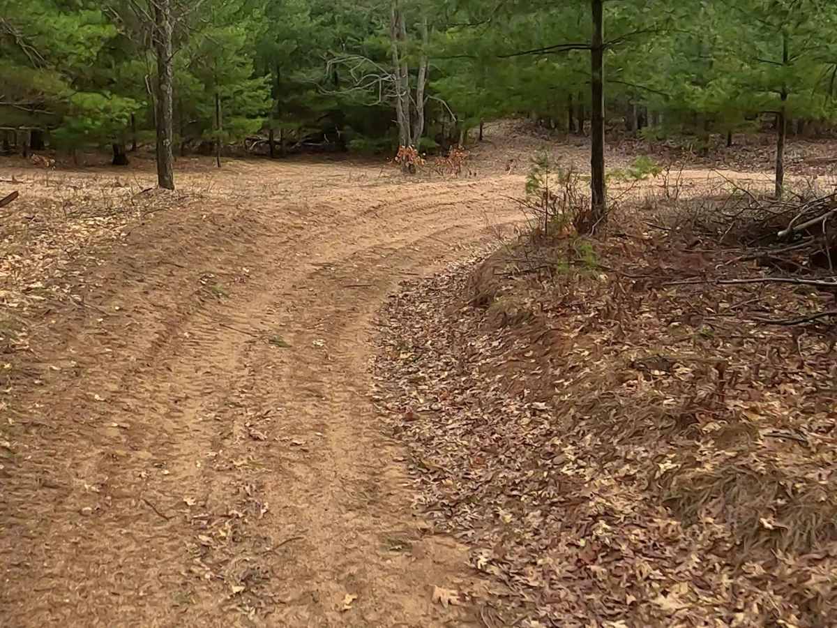 ORV H-57 7 : Mack- Bull Gap Trail photo 3