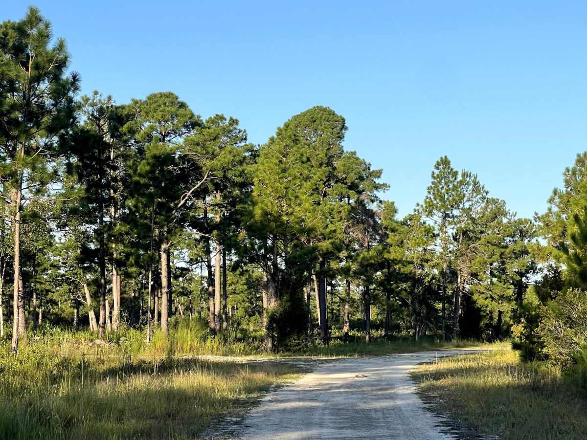 Polaris Road trail photo