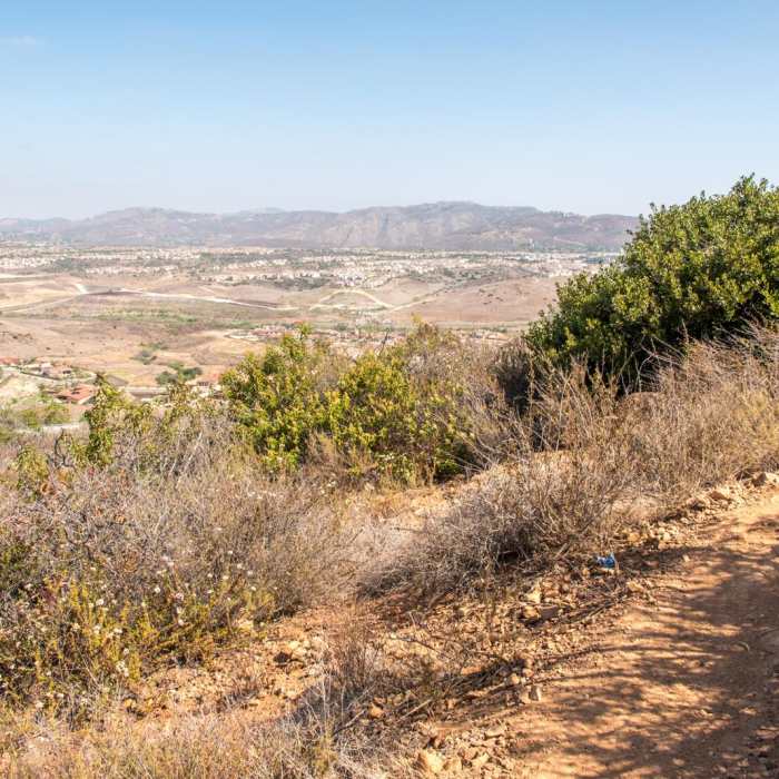 Near Glider Port Trail to Black Mountain Near Glider Port Trail to Black Mountain