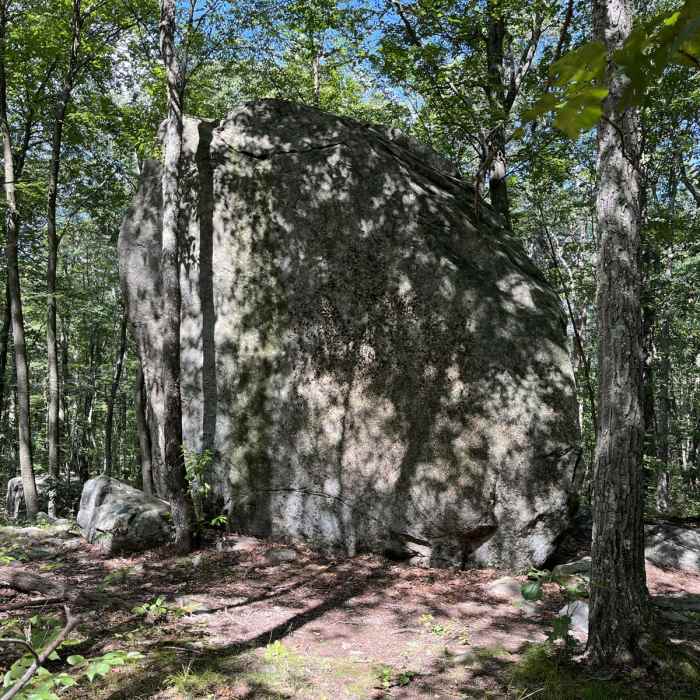 Near Pebble Trail Loop Near Pebble Trail Loop