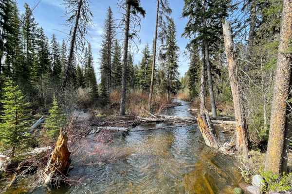 Beaver Creek Trailhead