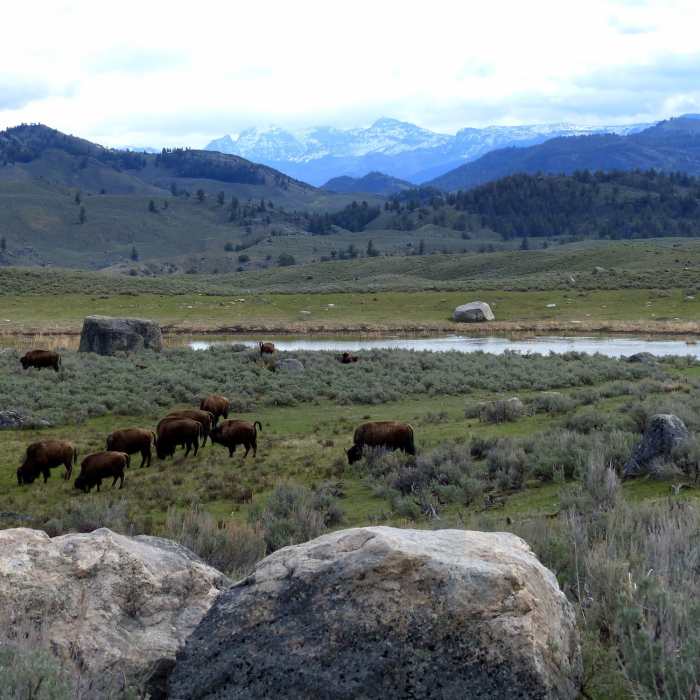 Near Agate Creek Out-and-Back