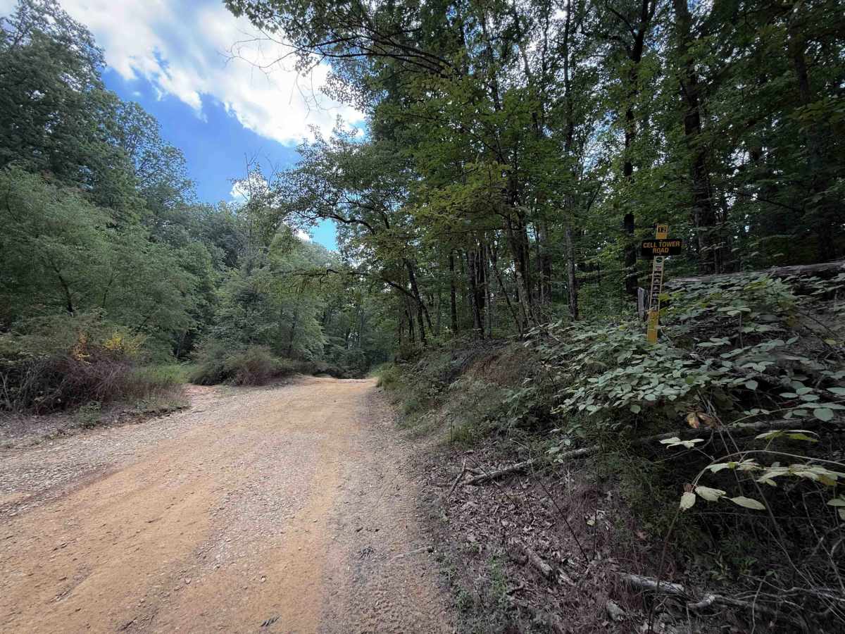 Cell Tower Road - 12 trail photo