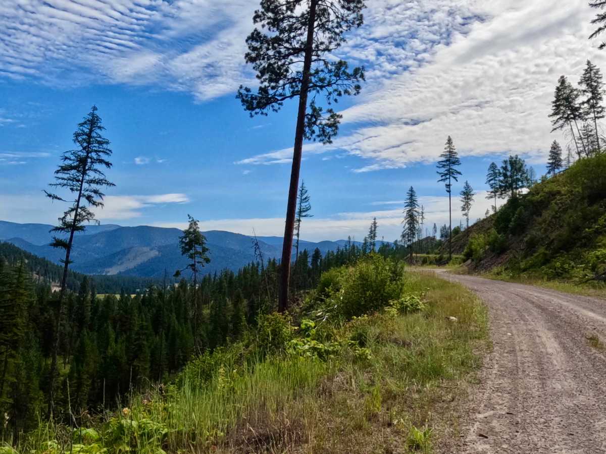 Weaver Gulch Trail trail photo