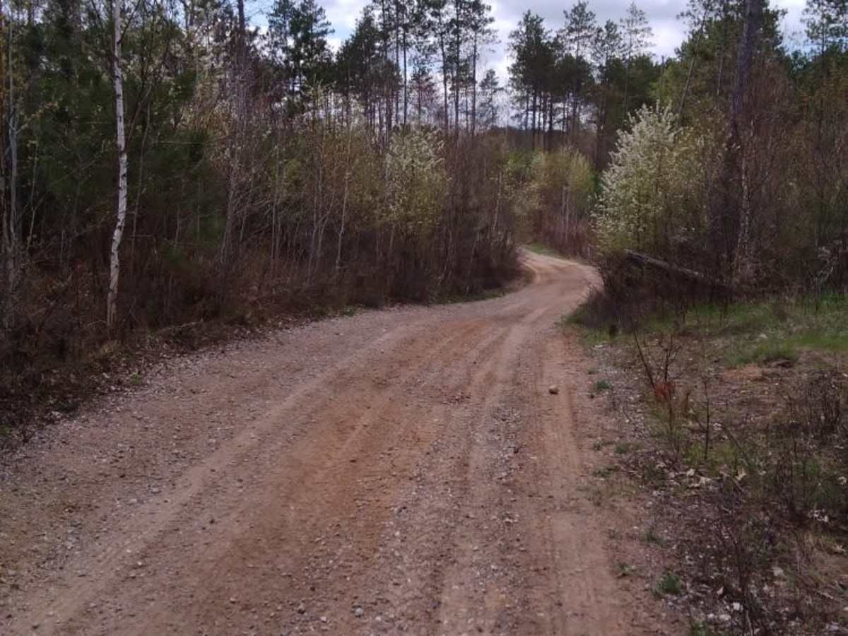 Great Bear Trail photo 5