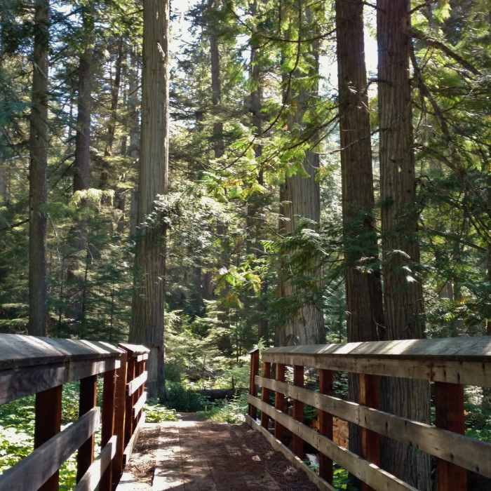 Near American Falls Out-and-Back