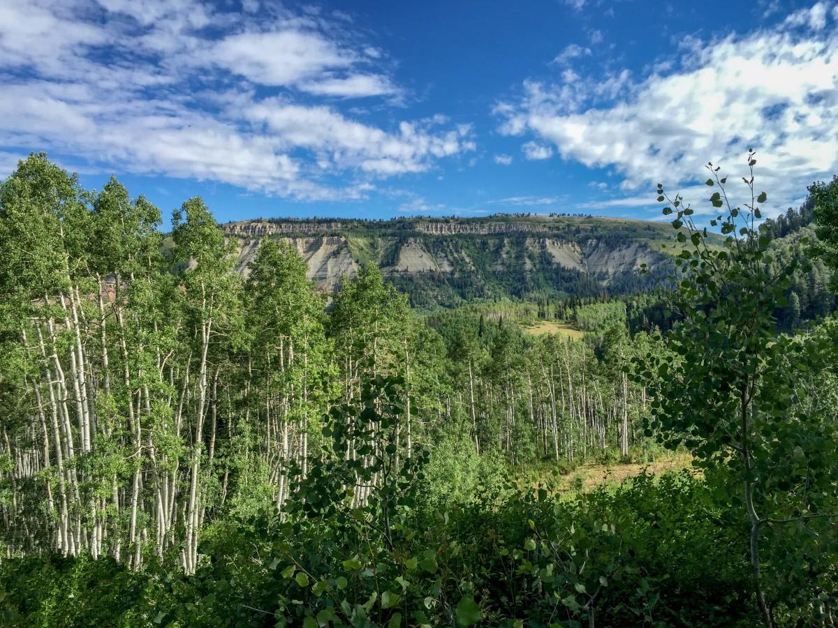 Arapeen Manti Canyon and Milky Falls photo 5