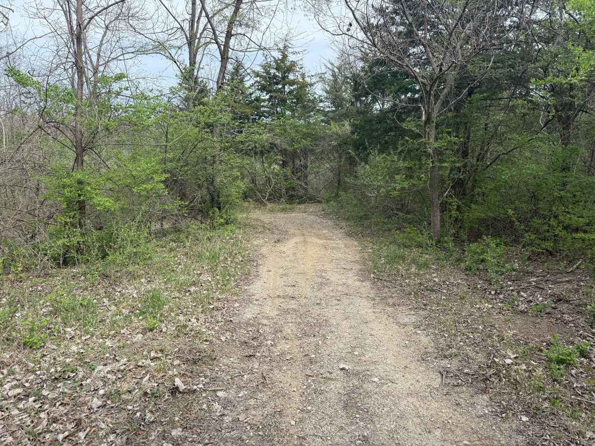 Hillclimb Trail  photo 6