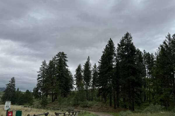 Campbell Lake Road