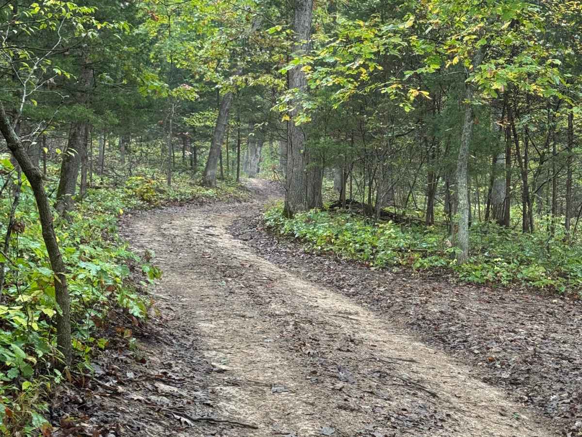 Middle Road trail photo