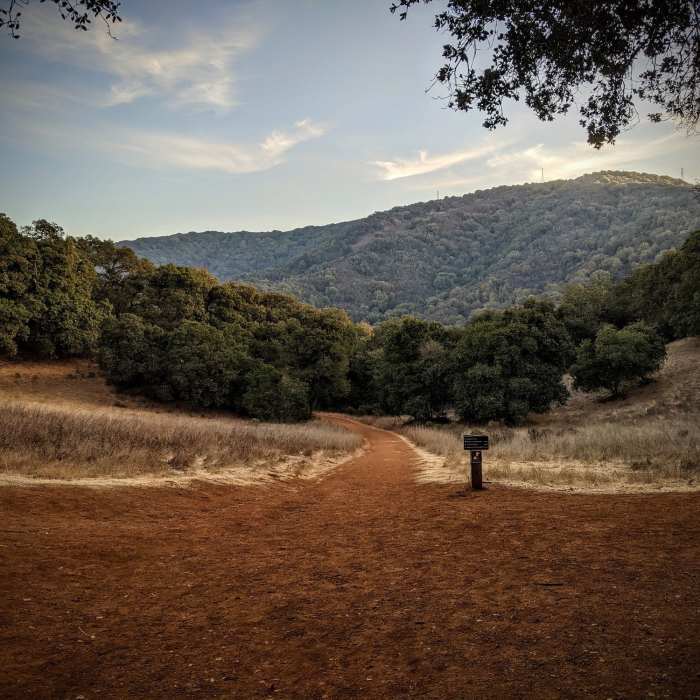 Near Black Mountain via Black Mountain Trail