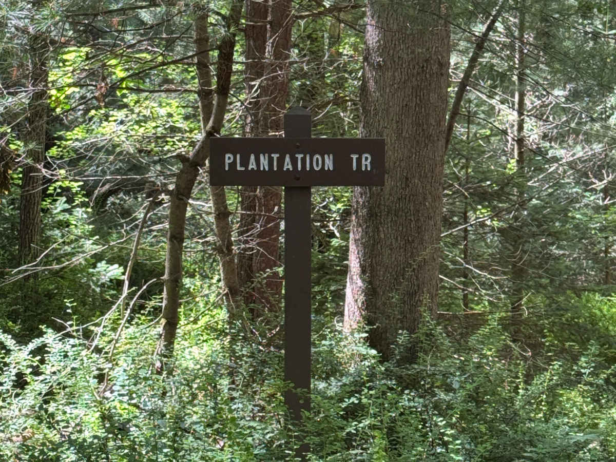 Lehigh Loop photo 4