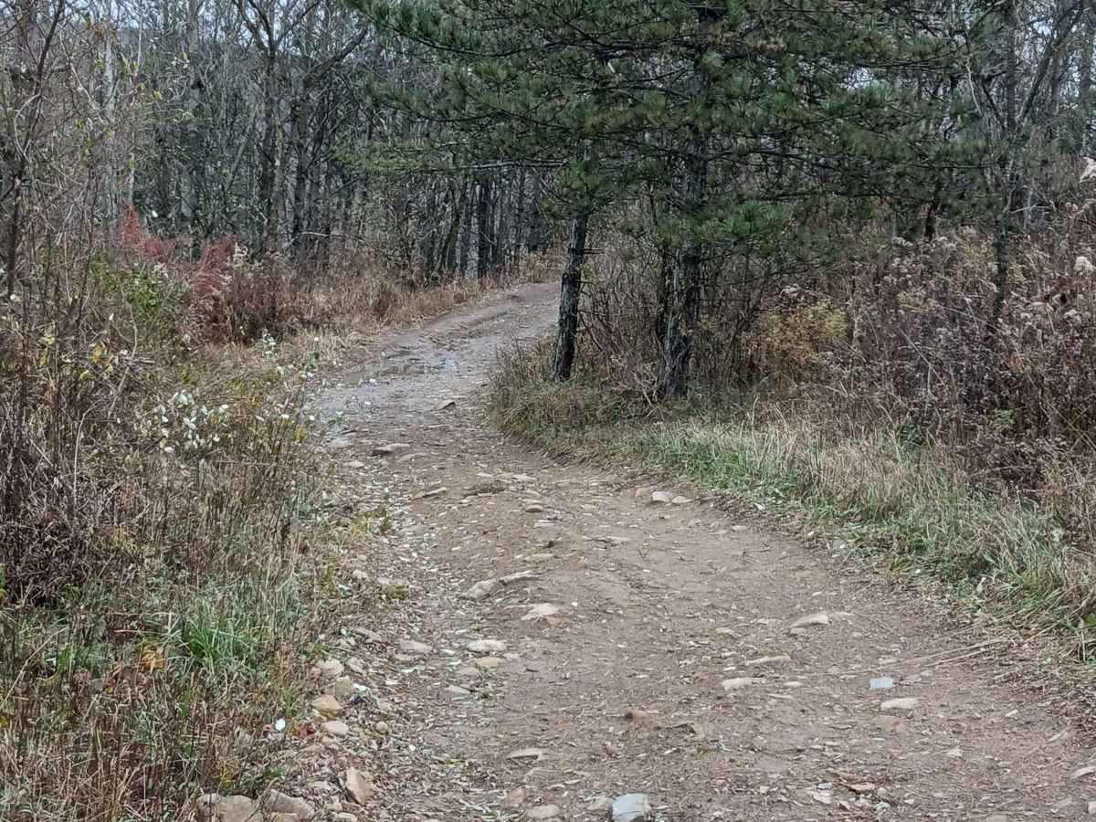 Trail 11 - Rock Run Recreation Area photo 5