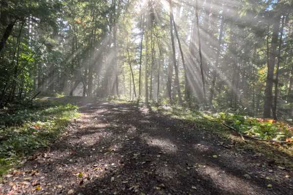 Smith Creek Trailhead - FS 8322