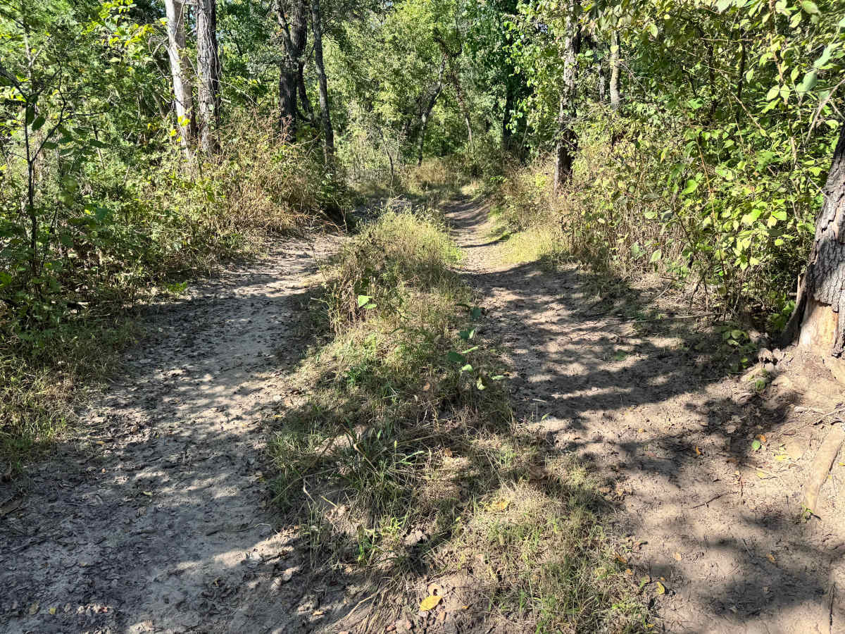 Idle Hour Road trail photo