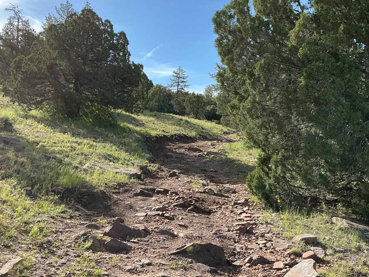 FS 9361A trail photo