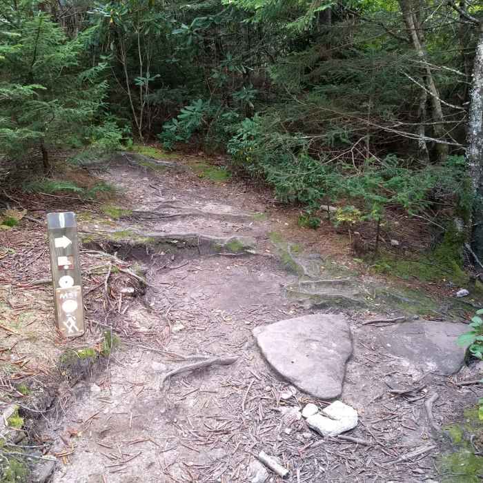 Near Devil's Courthouse