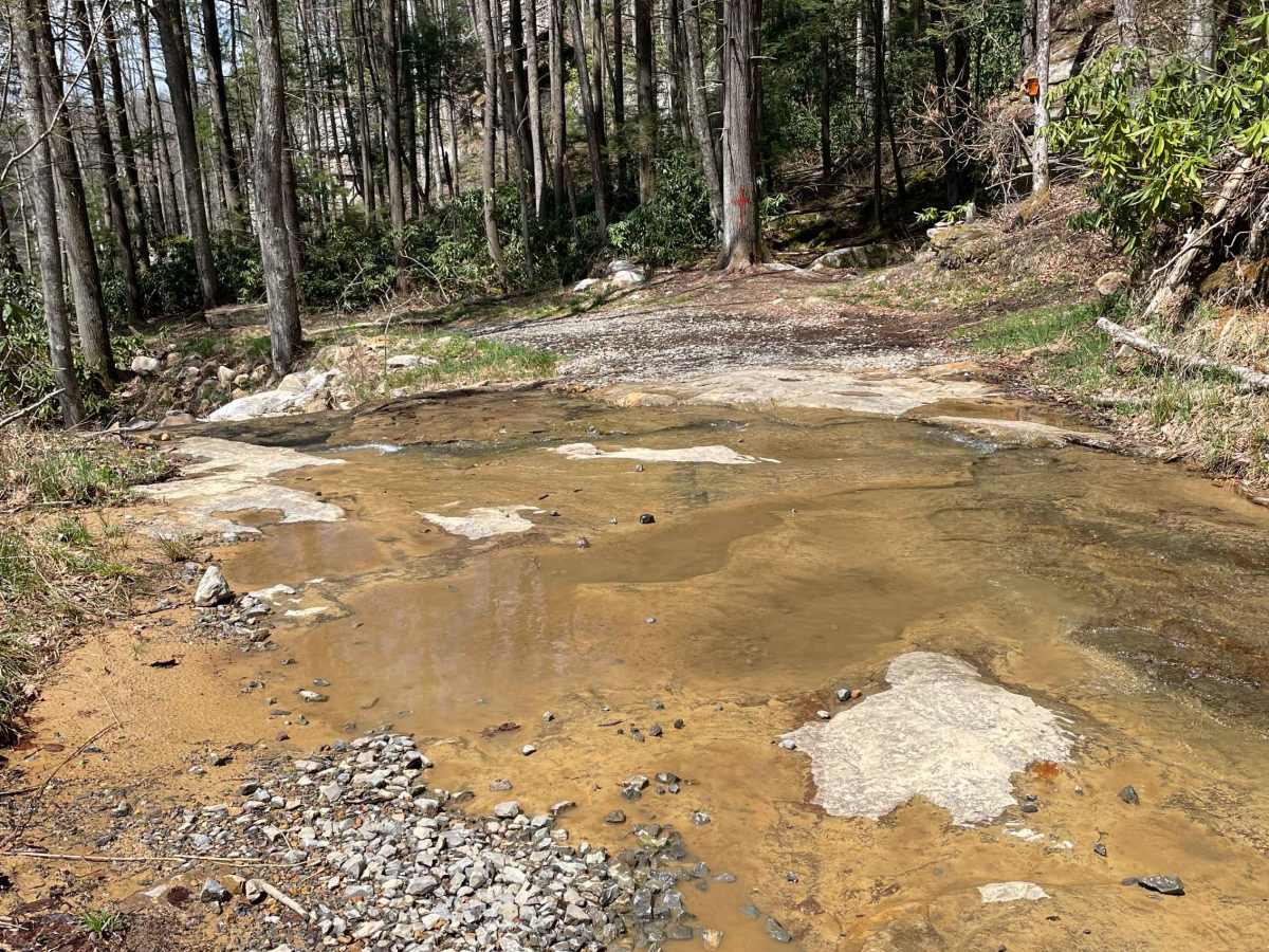Meadow/Gauley Access Trail trail photo