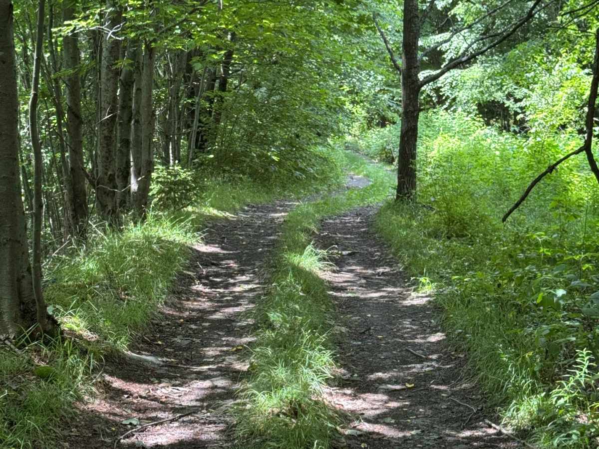 Trail 38 photo 4