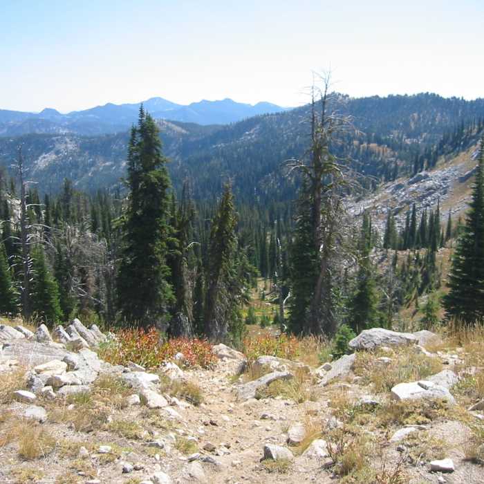 Near North Fork Kennally Creek