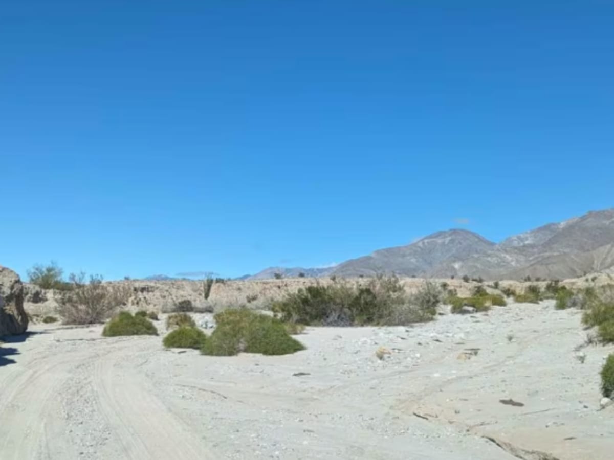 Truckhaven Trail Side Loop photo 4