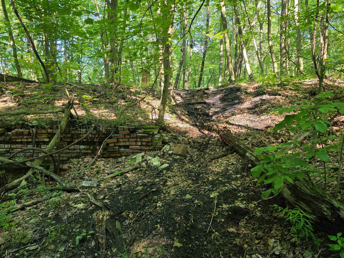 Single Track C3 photo 5