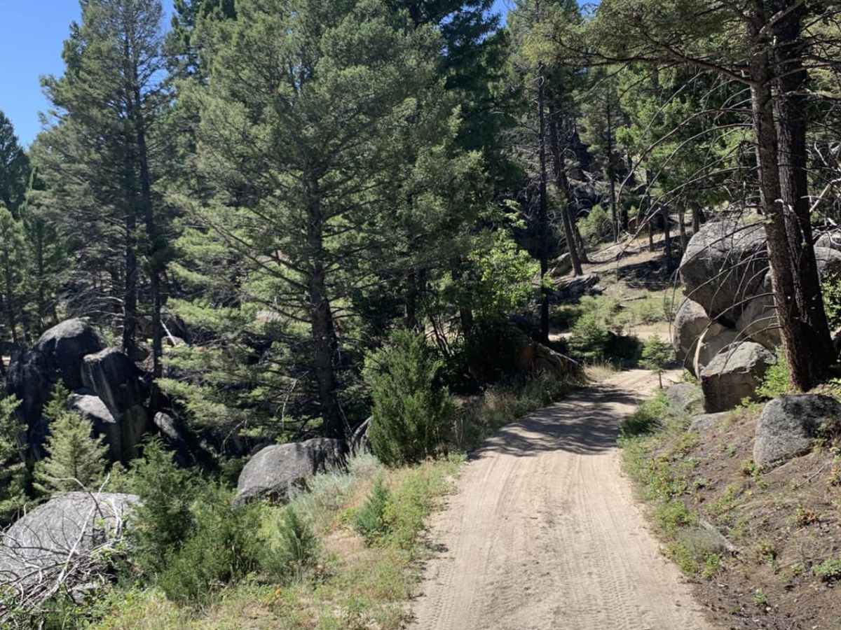 Bigfoot Creek to Hay Creek trail photo