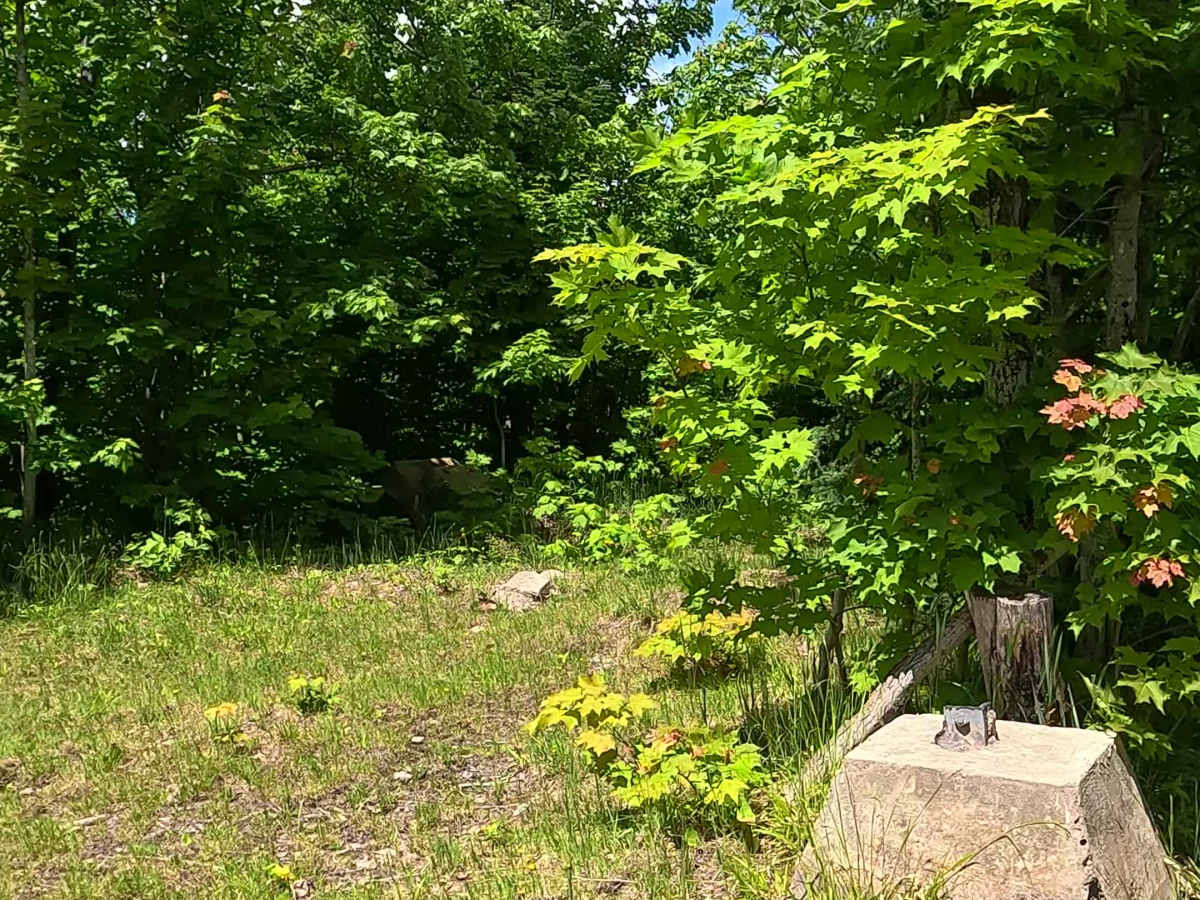 Little Pup Creek - Watch Tower Spur photo 5