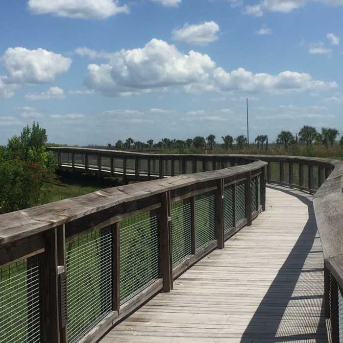 Boardwalk section along the Sweetwater Boardwalk Loop. Near Sweetwater Wetlands Park