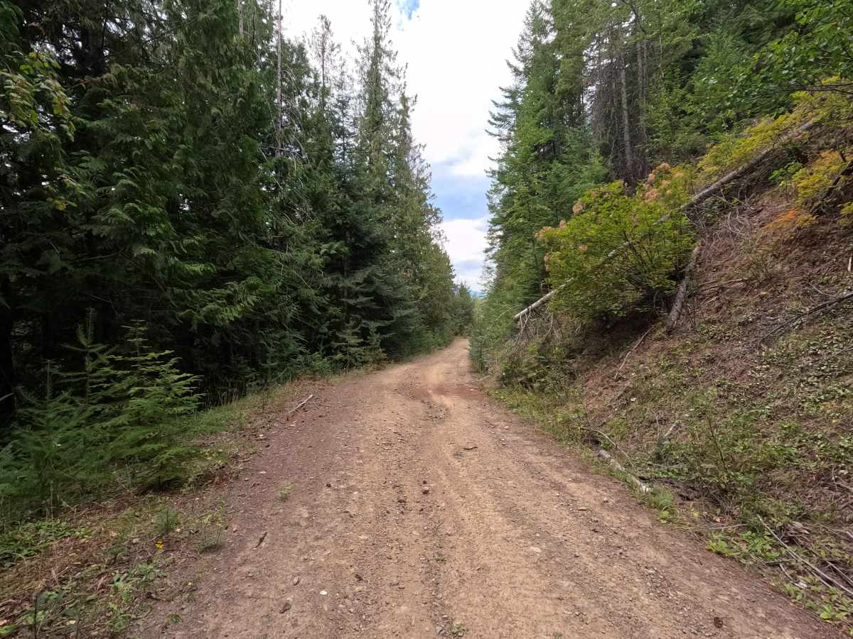 Bead Lake Road - FS 318 photo 5