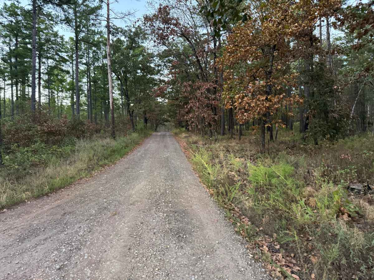 Jug Spring trail photo