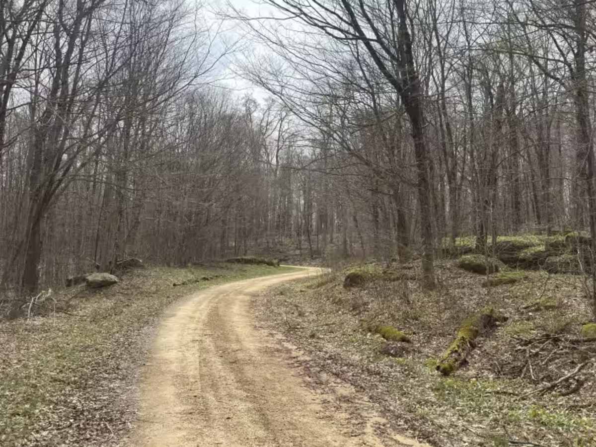 East Bucklick - FS 435 photo 5