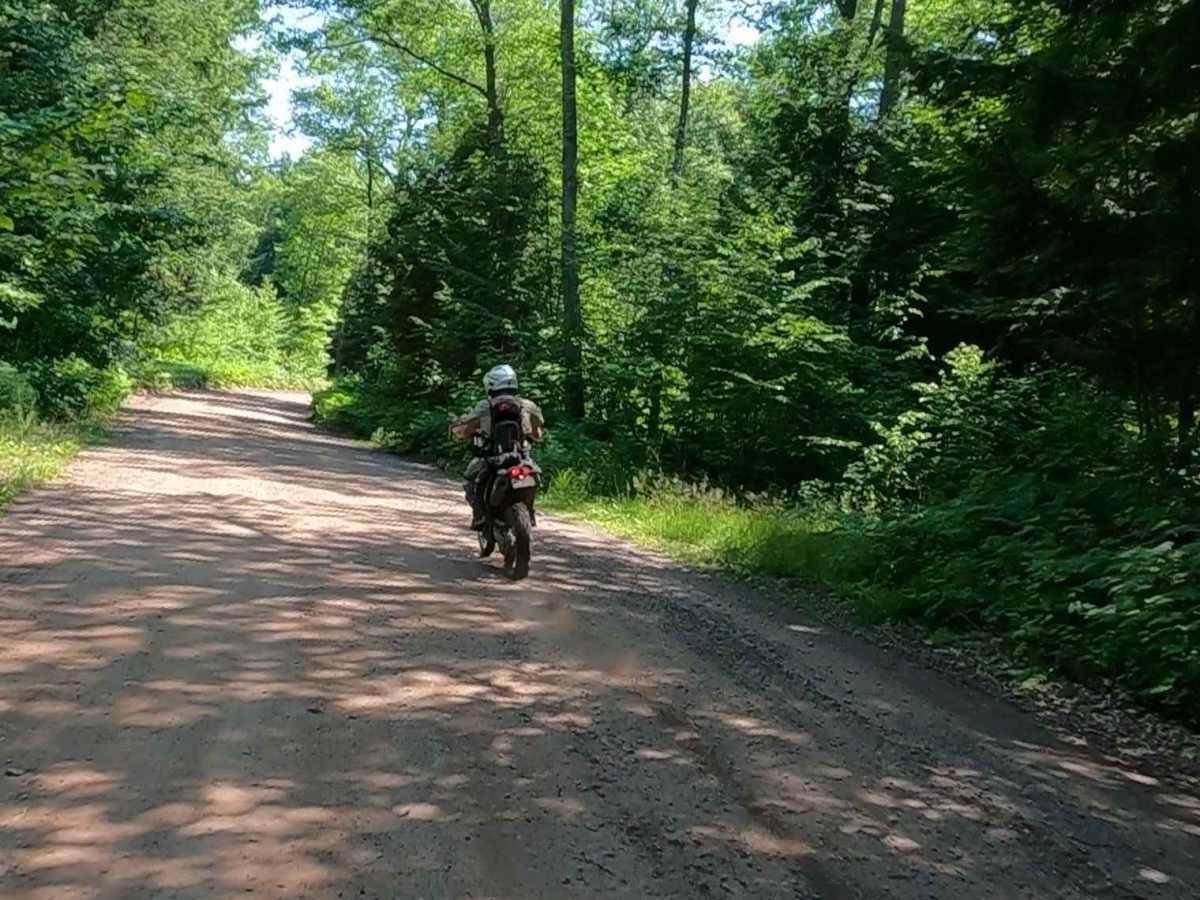 Nelligan Lake - Craig Lake Road photo 5