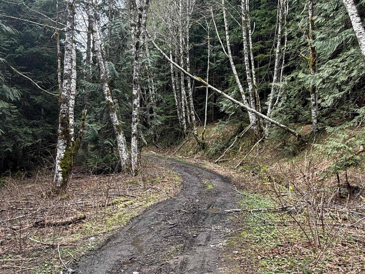 Beckler River Spur 2 photo 6