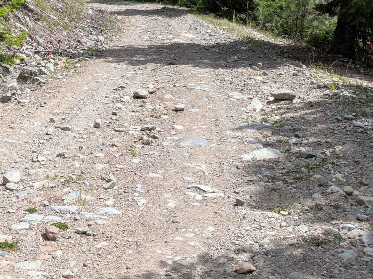 Twin Peaks Road trail photo