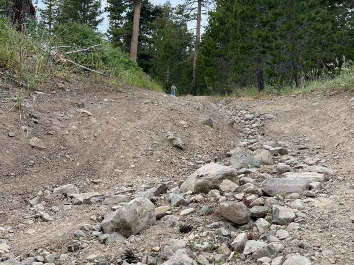 Lower Charity Spur A - FS 31206A trail photo