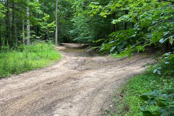 Murray creek