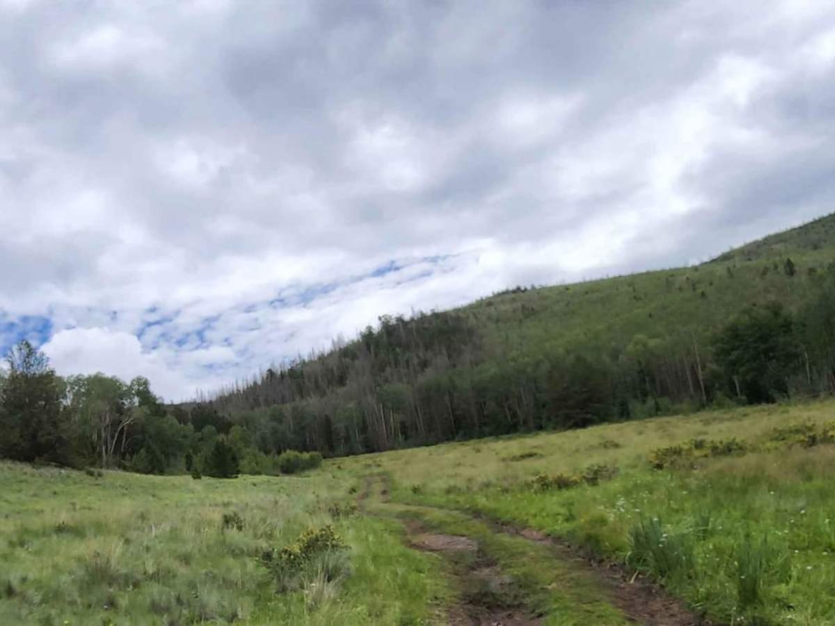 Deer Creek photo 6