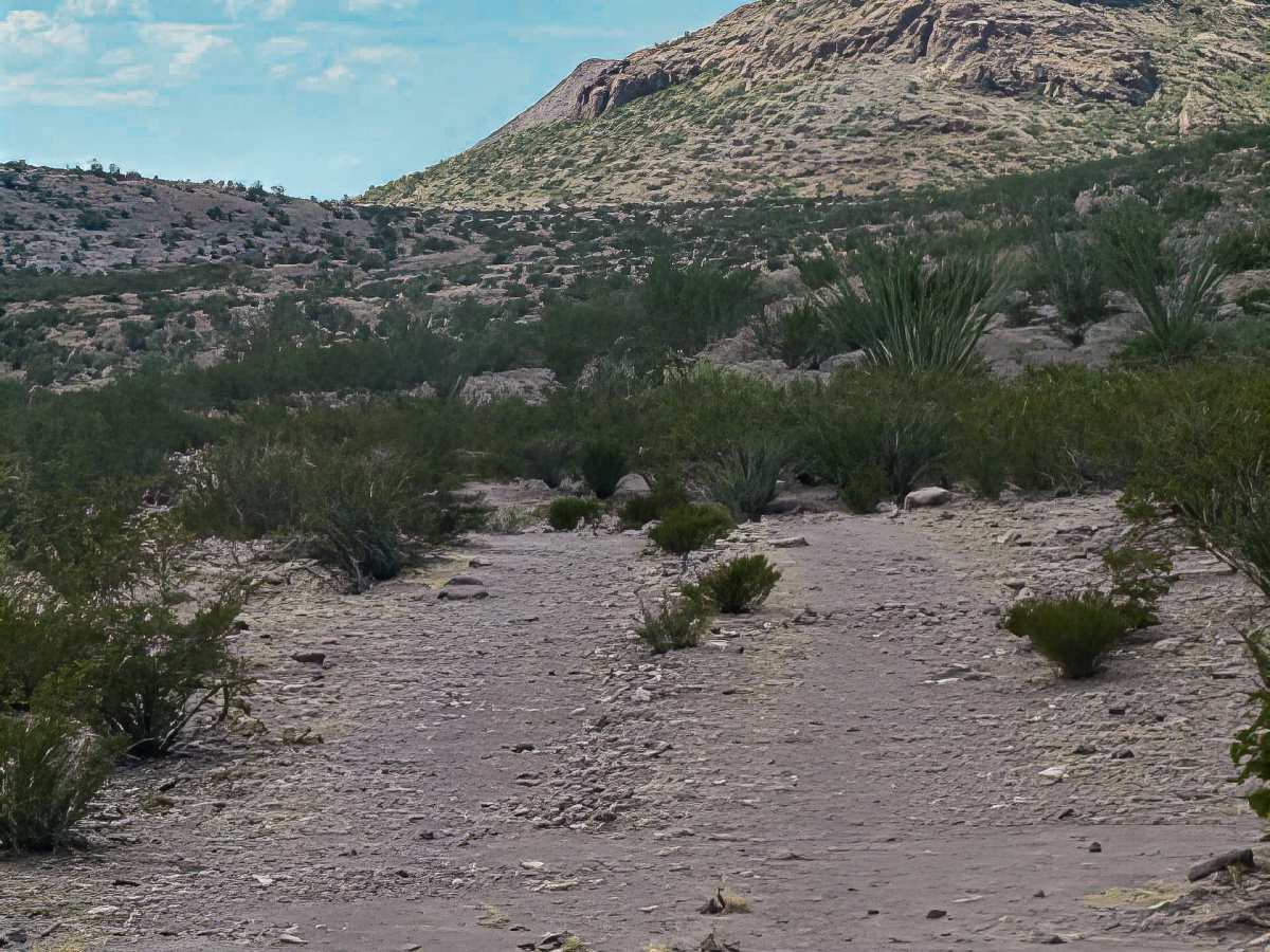 Ss1161 photo 2