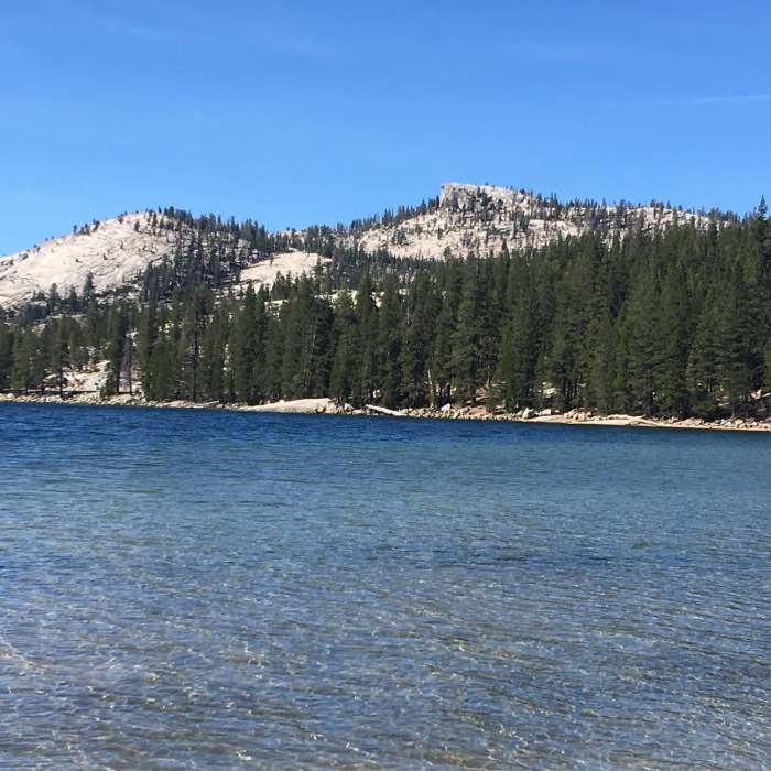 Dog Lake next to Lembert Dome Near Murphy Creek Trail