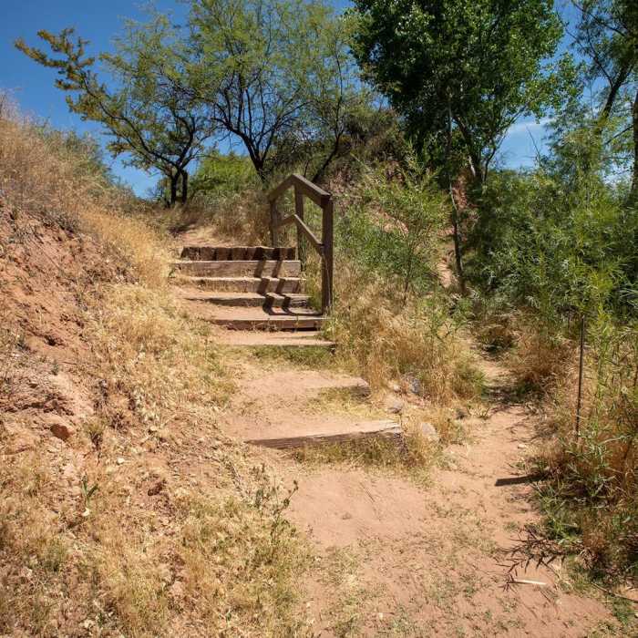 Near Hickey Ditch Trail