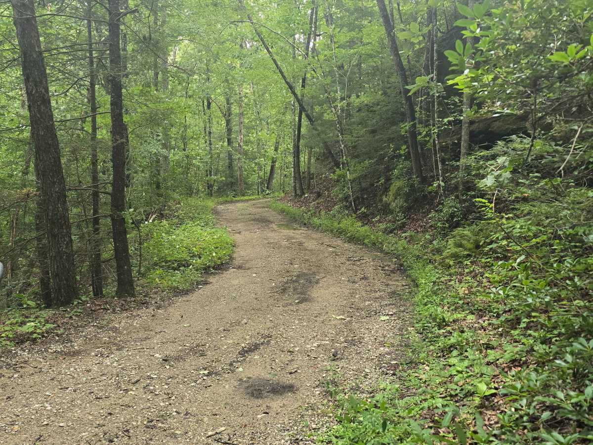 Hatfield Ridge Trail photo 4
