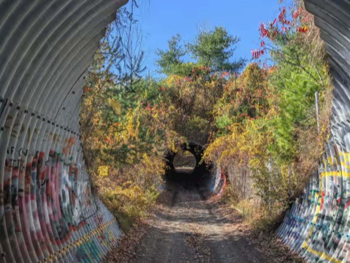 Big Hollow Road photo 2