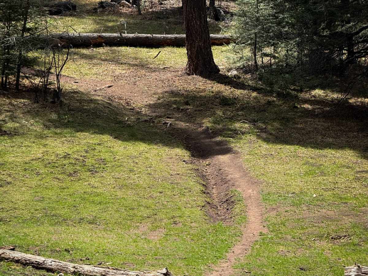 Pines North Trail  photo 2