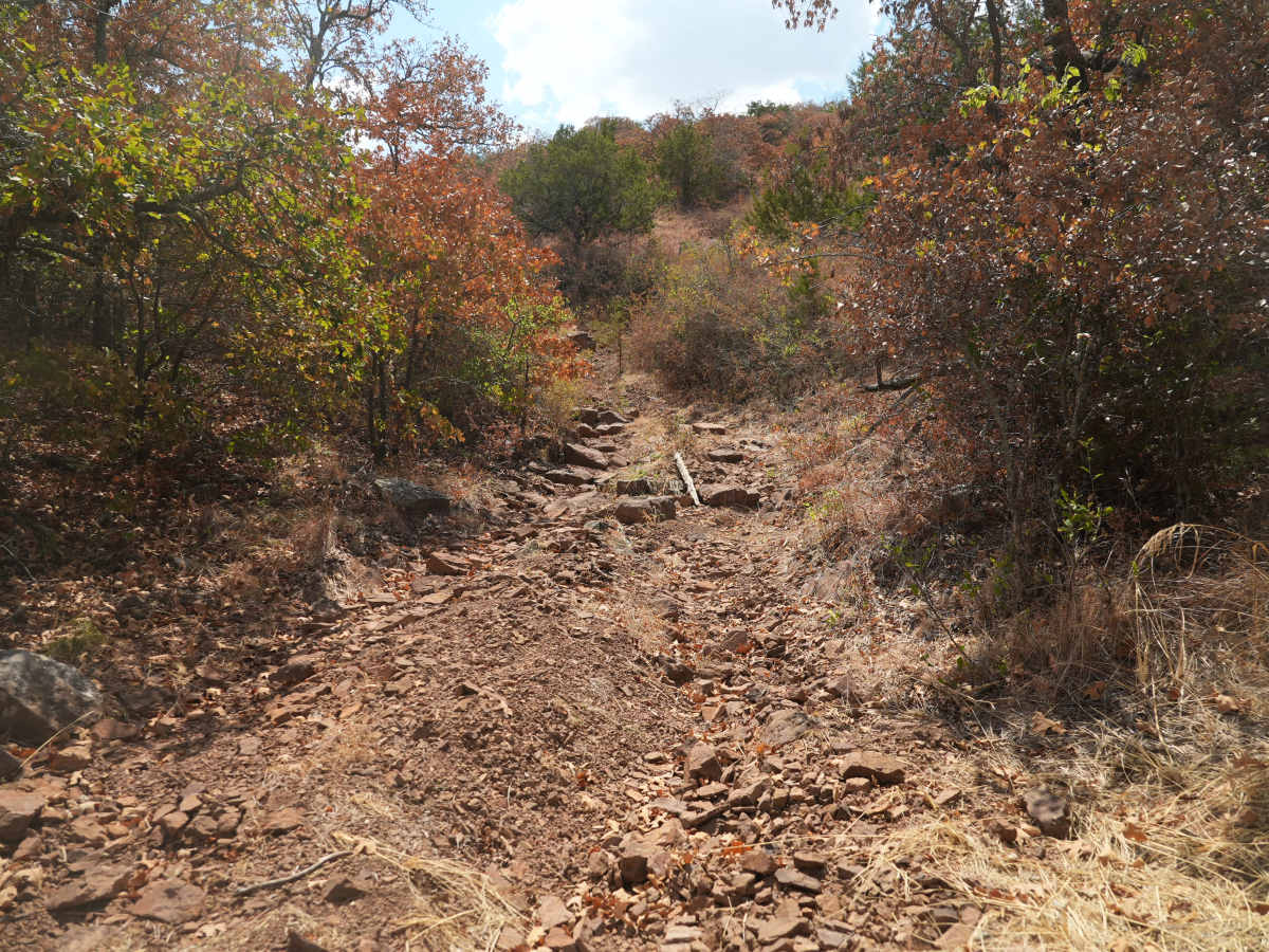 Black 32 trail photo