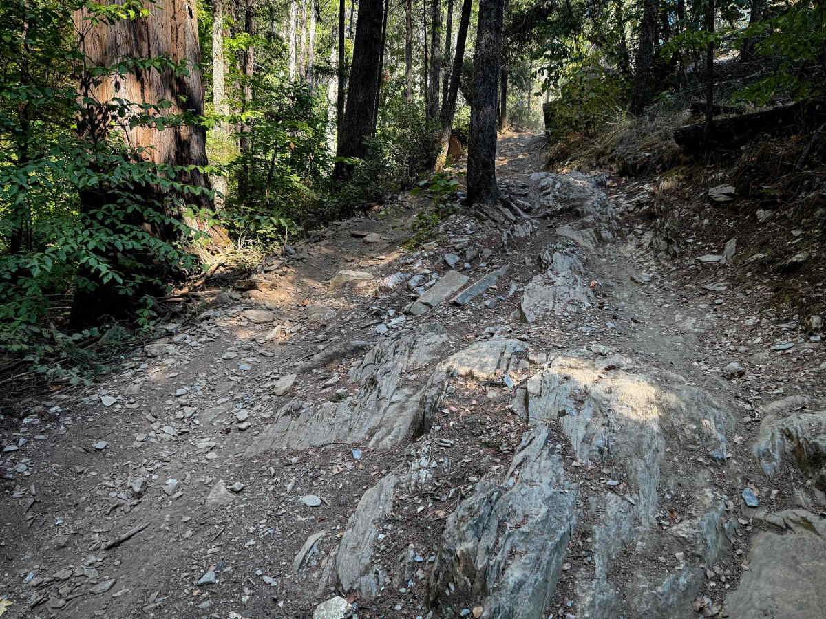 Trail 9 ATV (11E13)  trail photo