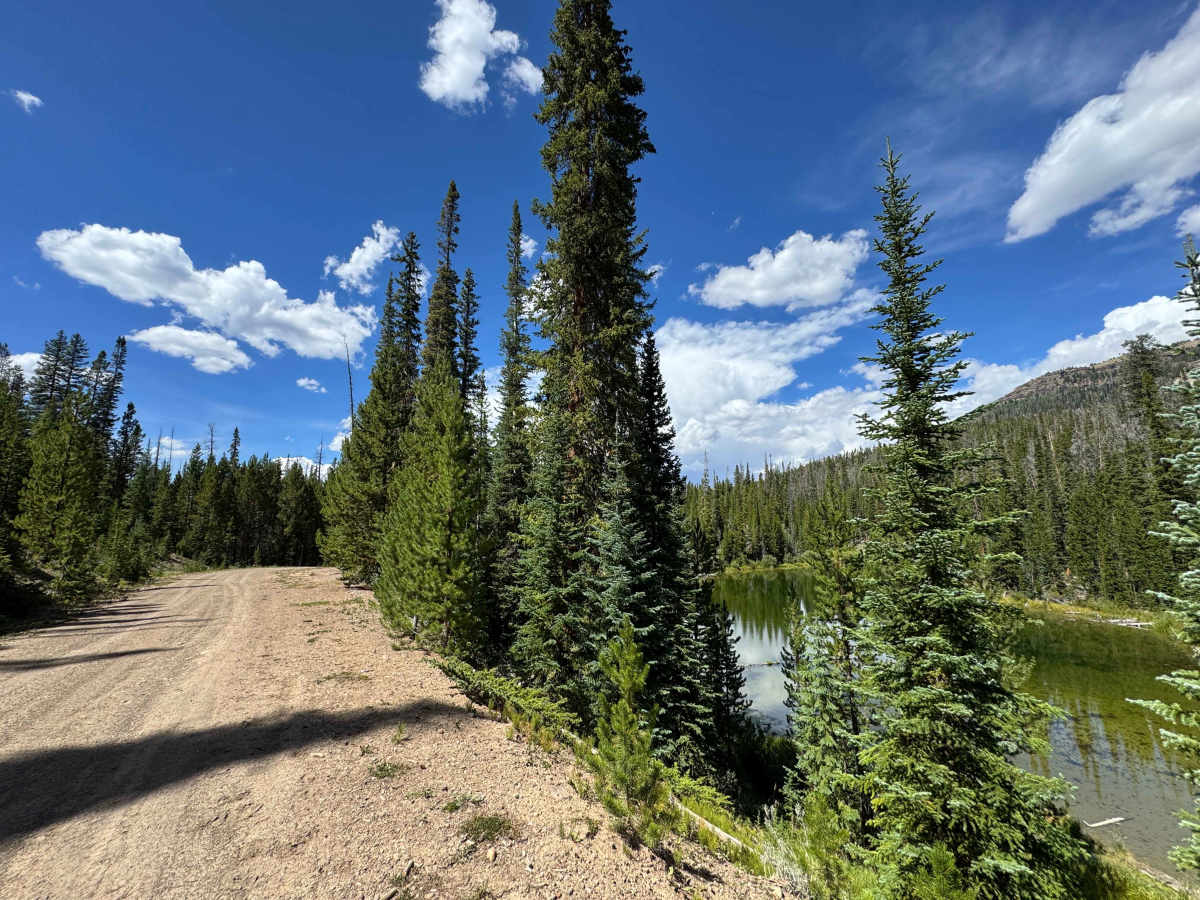 East Fork Road trail photo