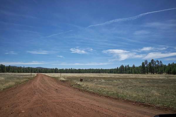 Sheep Springs Road